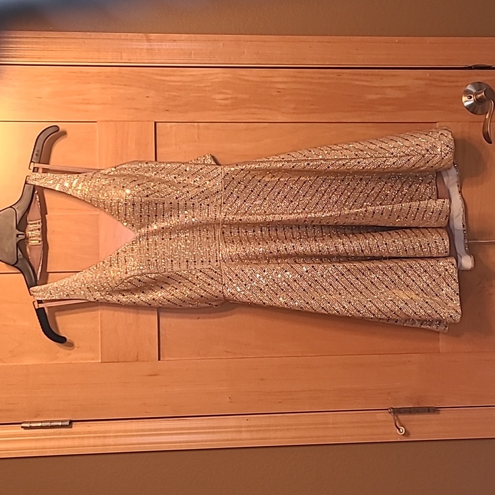 City Triangles brand formal dress. Super sparkle! Padding in the top.